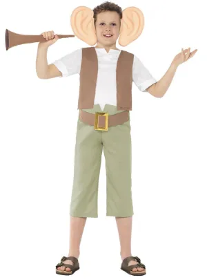 The BFG Teen Boys Roald Dahl Book Week Costume