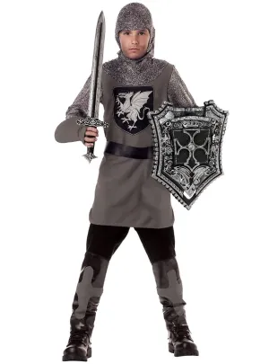 Valiant Knight Boys Renaissance Fancy Dress Costume