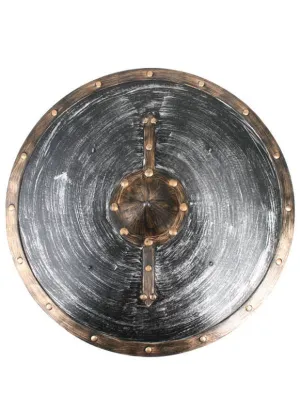 Viking Warrior Fancy Dress Costume Shield