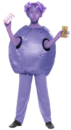Violet Beauregarde Blueberry Girls Book Week Costume