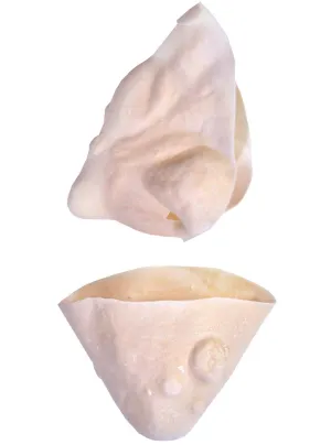 Warty Witch Nose and Chin Latex Prosthetic Special FX