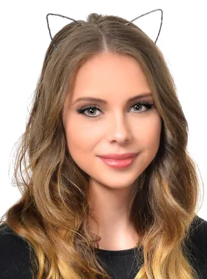 Wire Cat Ears Wrapped in Black and Silver Ribbon Headband