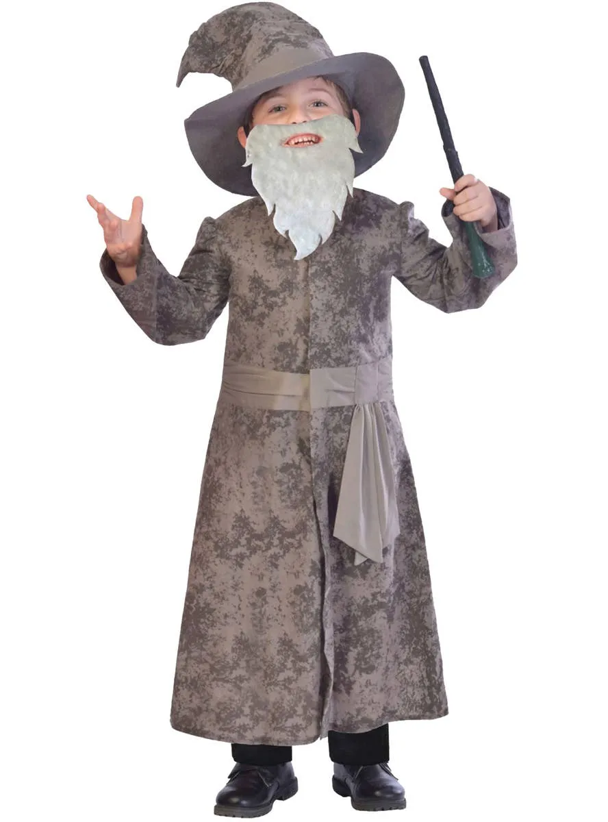 Wise Grey Wizard Boys Dress Up Costume