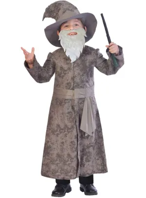 Wise Grey Wizard Boys Dress Up Costume