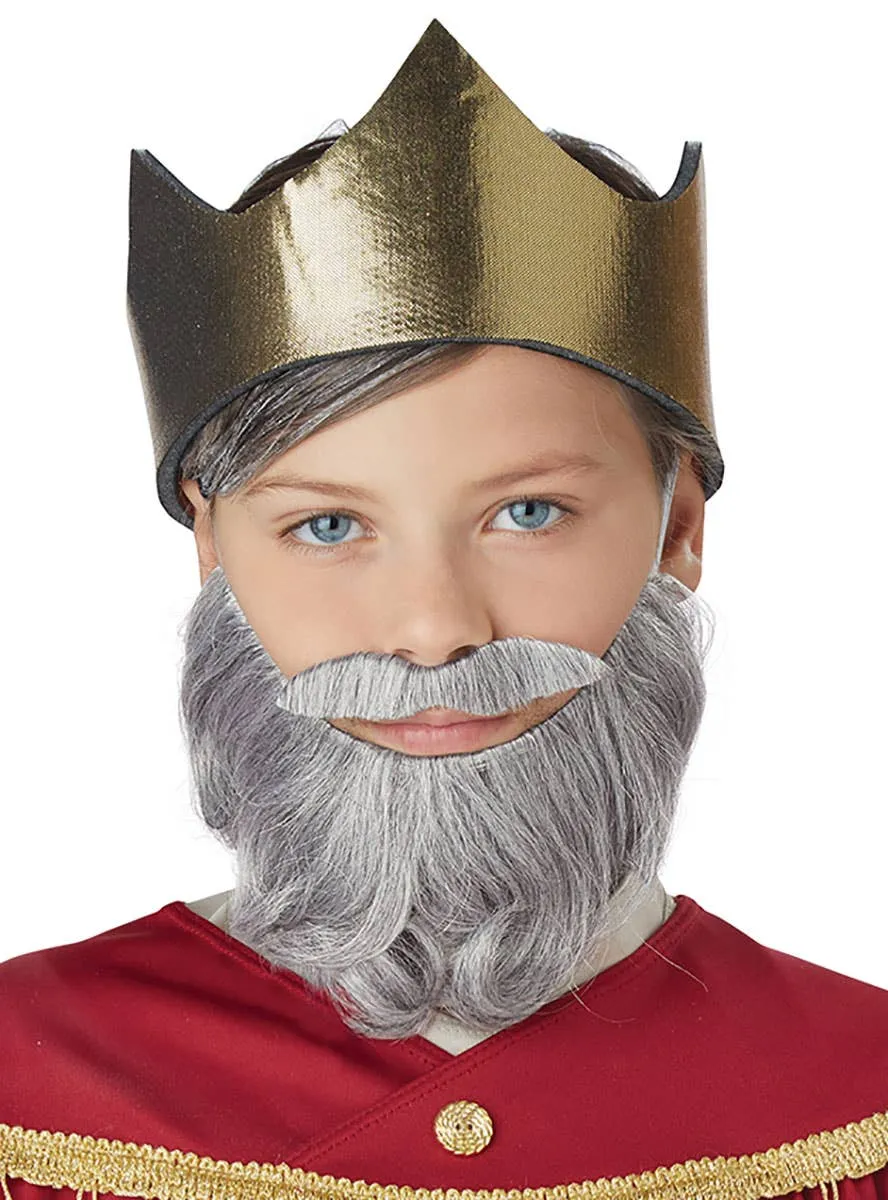 Wise Man Boys Grey Beard and Moustache Set