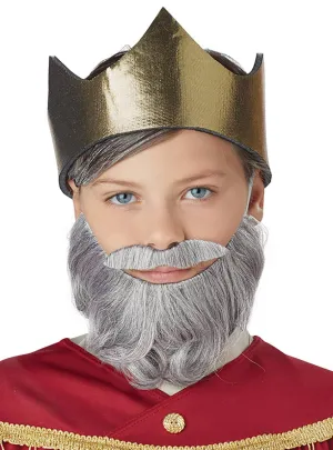 Wise Man Boys Grey Beard and Moustache Set