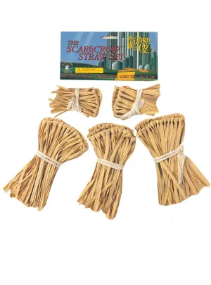 Wizard of Oz Scarecrow Straw Set