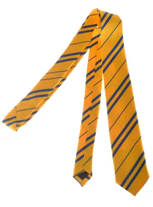 Wizard School Yellow and Blue Costume Tie